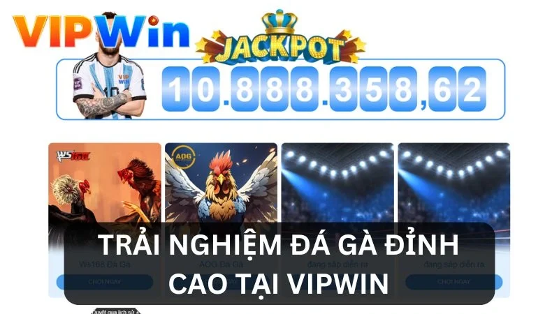 Ưu điểm khi trải nghiệm đá gà tại VIPWIN