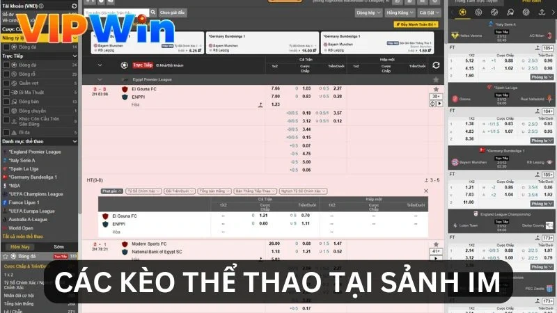 Các kèo thể thao tại IM