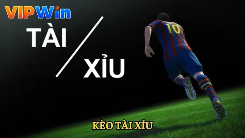 Kèo Tài Xỉu Vipwin - Cá Cược Thể Thao Dễ Hiểu, Kịch Tính