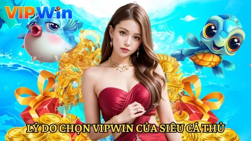 Lý do nên tham gia Vipwin